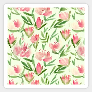 Blush pink peonies - watercolor blooming flowers Sticker